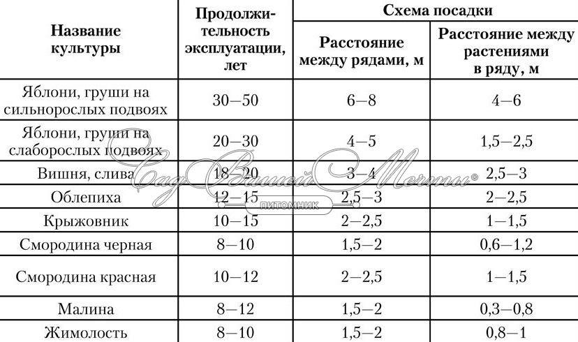 Какие плодовые культуры выращивают в московской области?