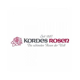 Розы Kordes