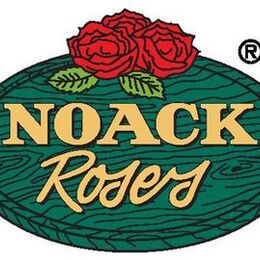 Розы Noack
