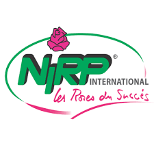 Розы NIRP International