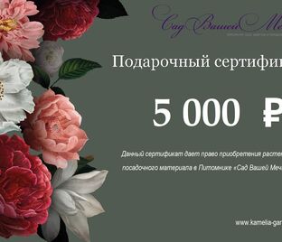 Подарочный сертификат номиналом 5 000₽