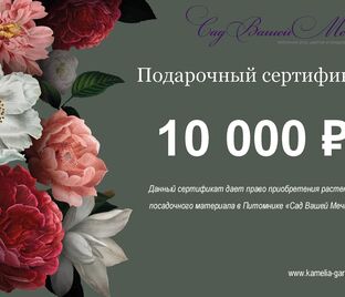 Подарочный сертификат номиналом 10 000₽ — фото 1