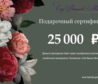 Подарочный сертификат номиналом 25 000₽