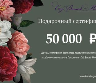 Подарочный сертификат номиналом 50 000₽ — фото 1