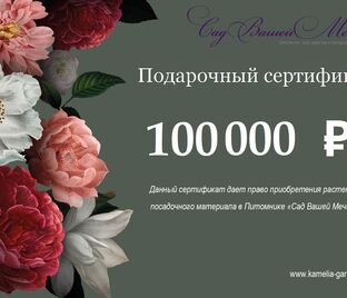 Подарочный сертификат номиналом 100 000₽