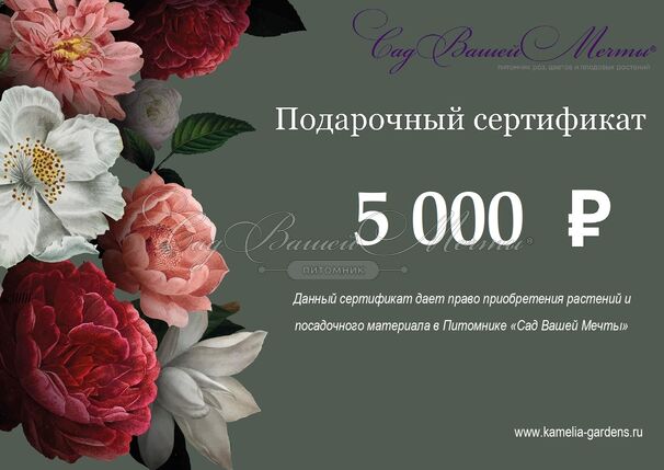 Подарочный сертификат номиналом 5 000₽ — фото 2