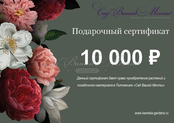 Подарочный сертификат номиналом 10 000₽ — фото 2