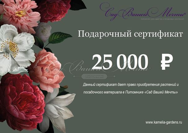 Подарочный сертификат номиналом 25 000₽ — фото 2