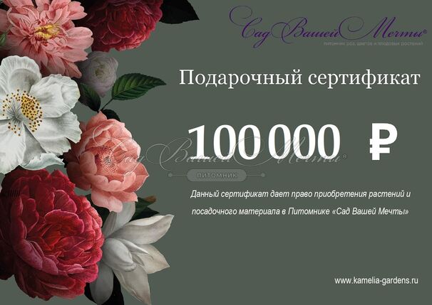 Подарочный сертификат номиналом 100 000₽ — фото 2