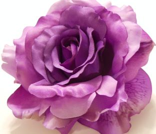 Роза Purple Haze (Пёрпл Хэйз)